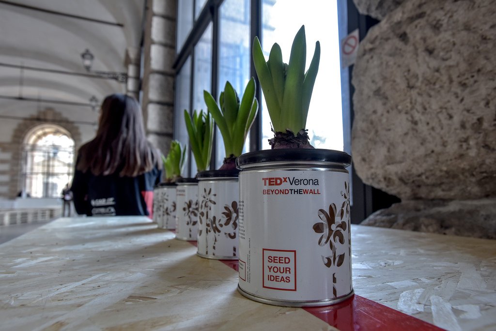 Tedx Verona
