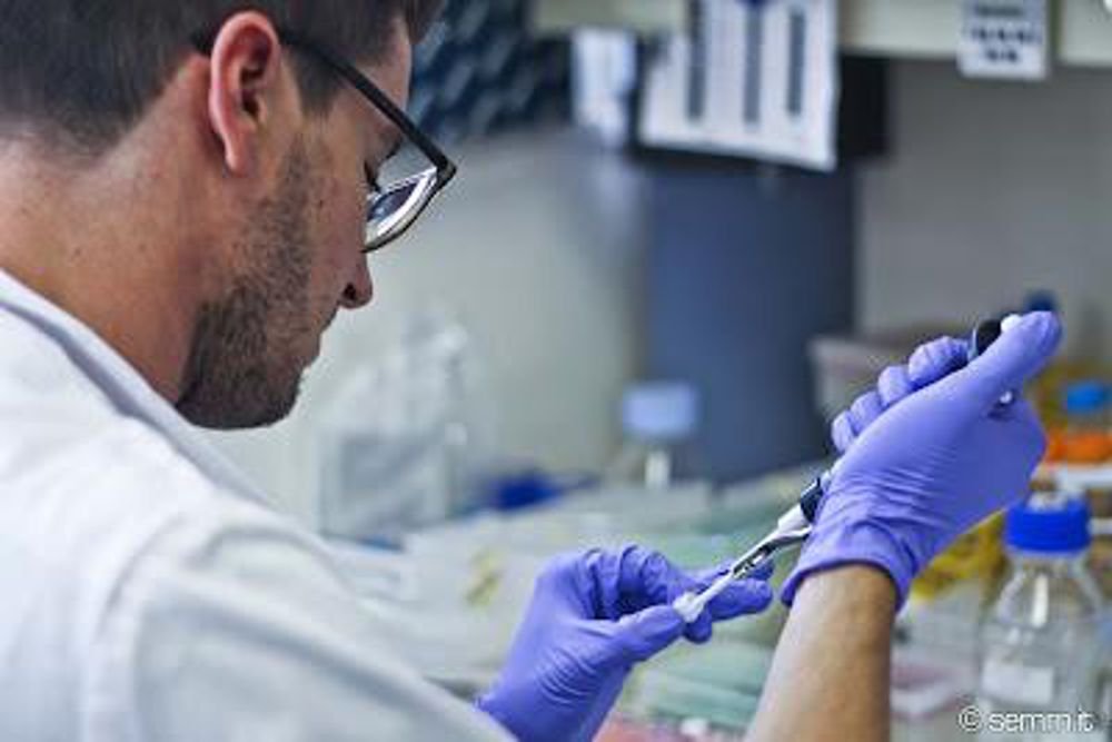 coronavirus in veneto