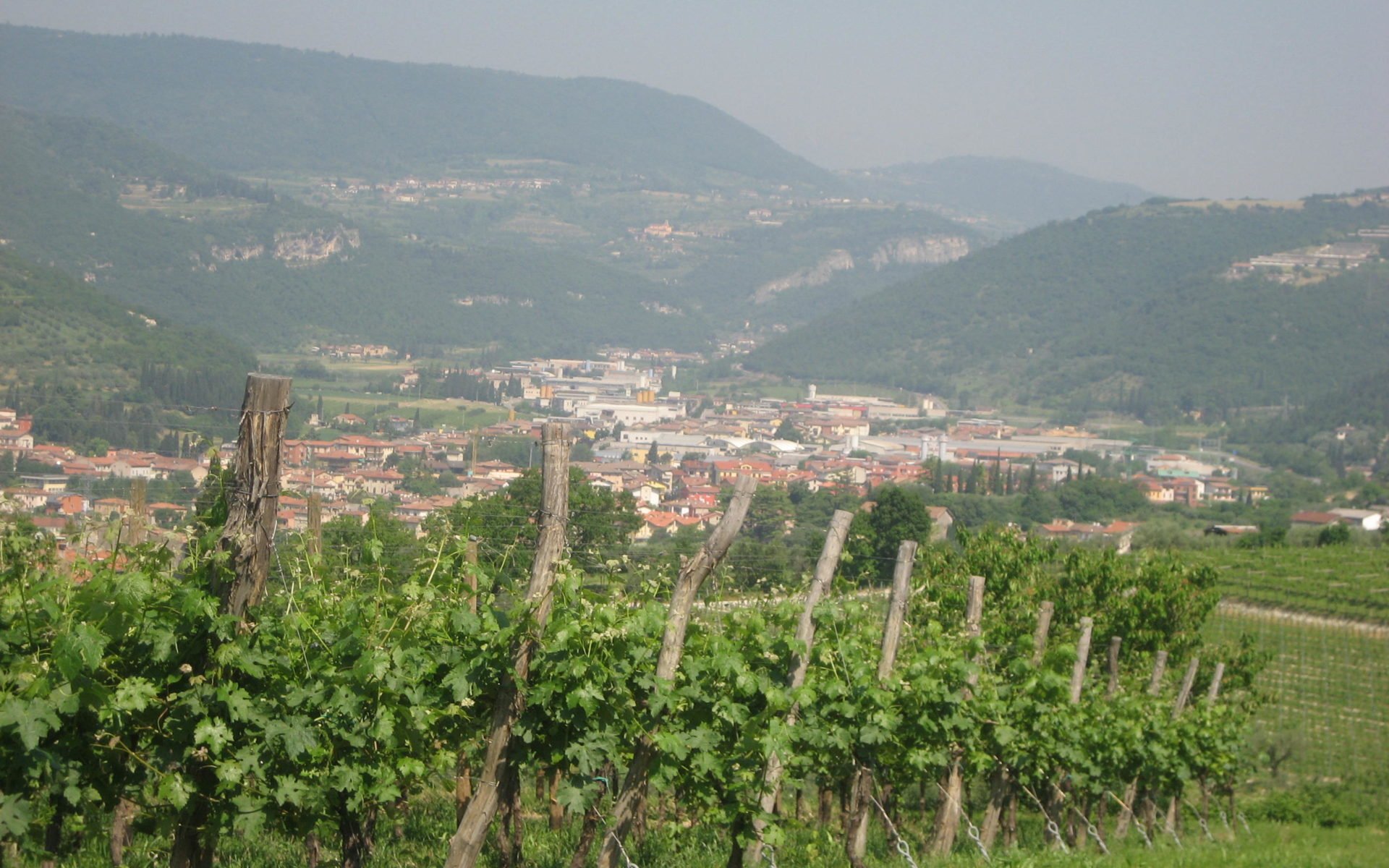 turismo d'élite valpantena turismo enogastronomico