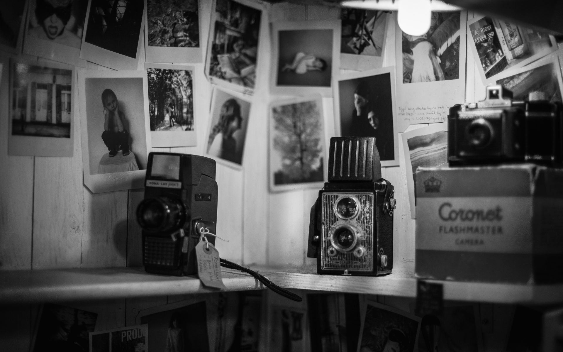 verona-film-festival-teatro-alcione