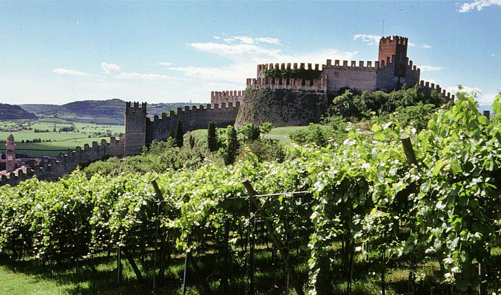 valpolicella vigneto viticoltura