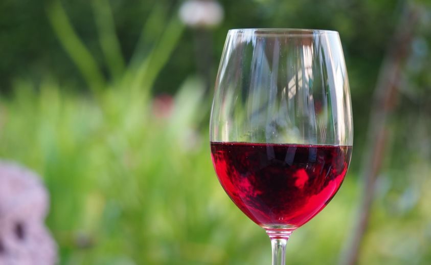 Vino Palio del Recioto 2022 Valpolicella Amarone Vino Rosso Borgo DiVino