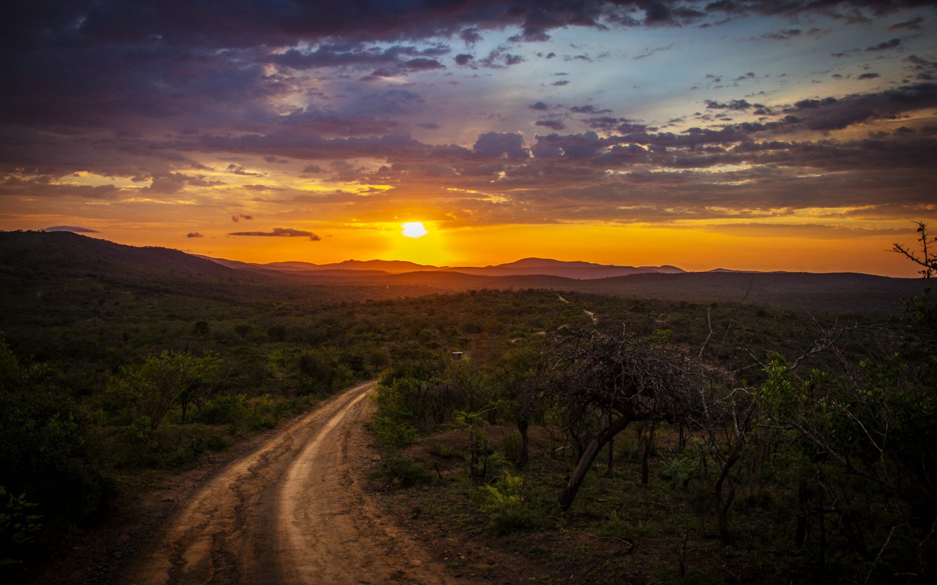 Accaparramento delle terre in Africa