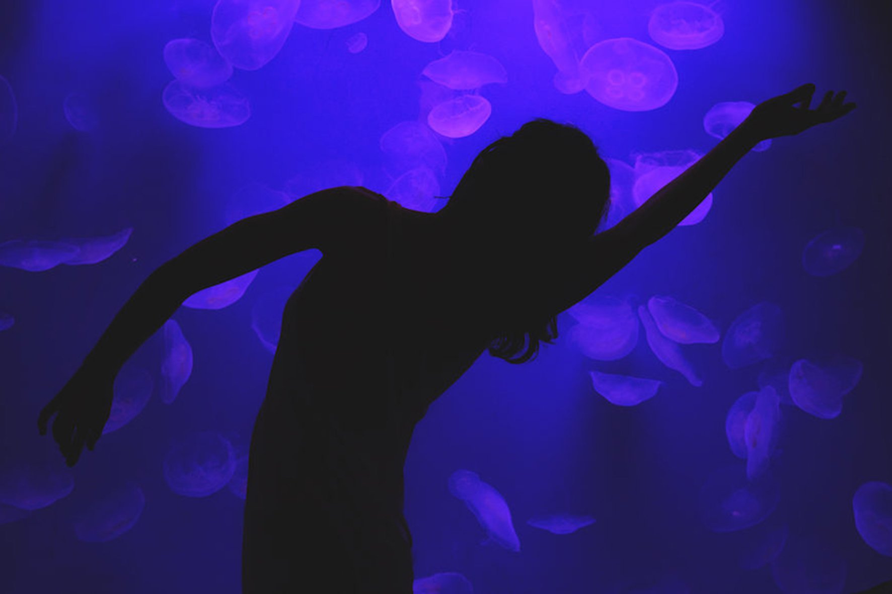 gardaland festeggia la giornata mondiale degli oceani