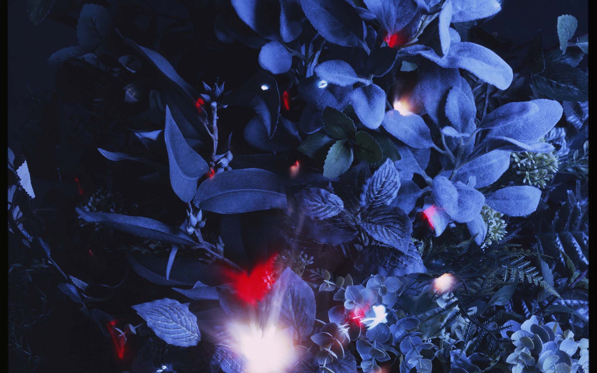 Mostra alla Galleria Fuori Le Mura