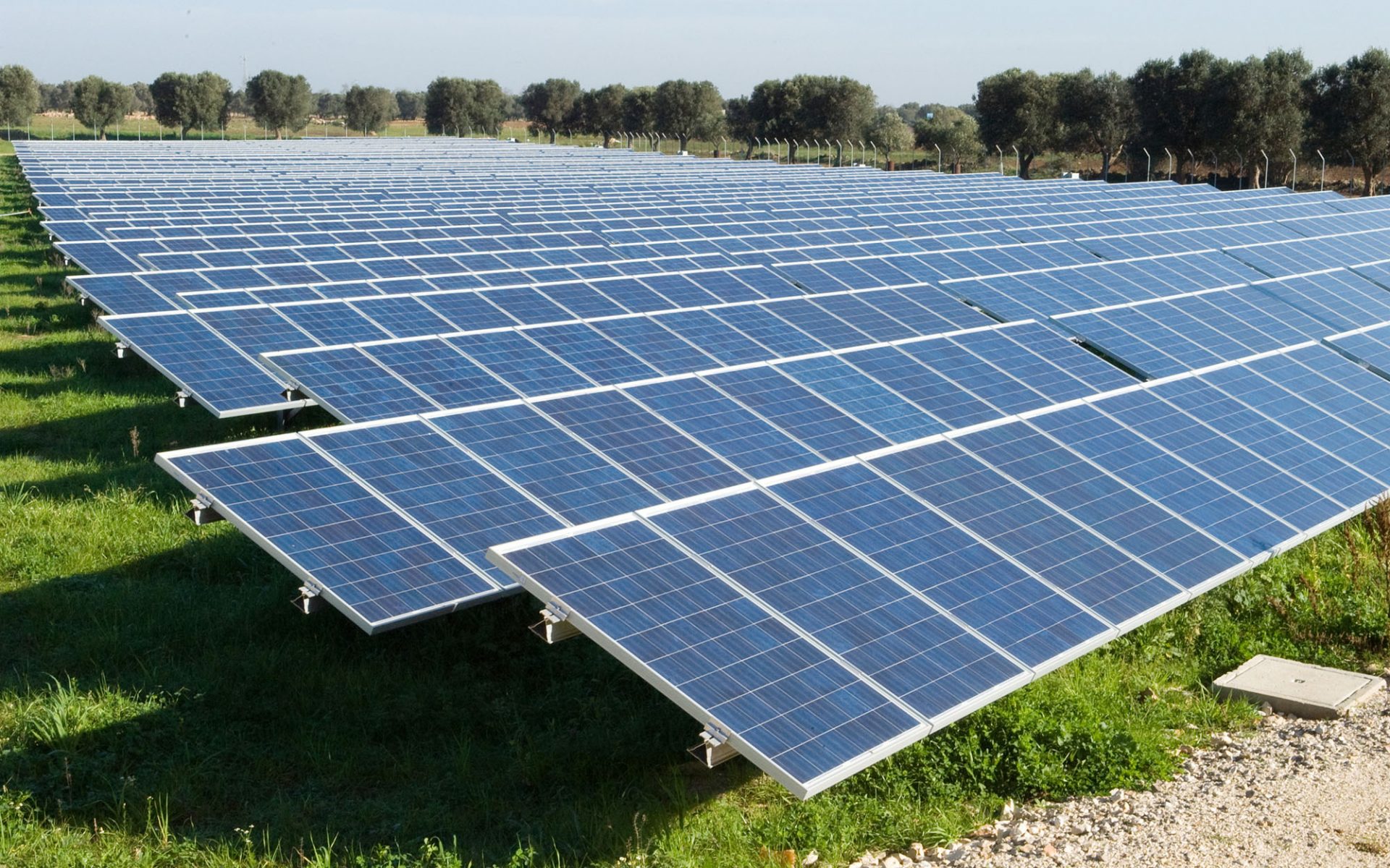 Le Comunità Energetiche 100% italiane sviluppate da ForGreen Spa SB confermano nuovamente che il modello è concreto e vincente