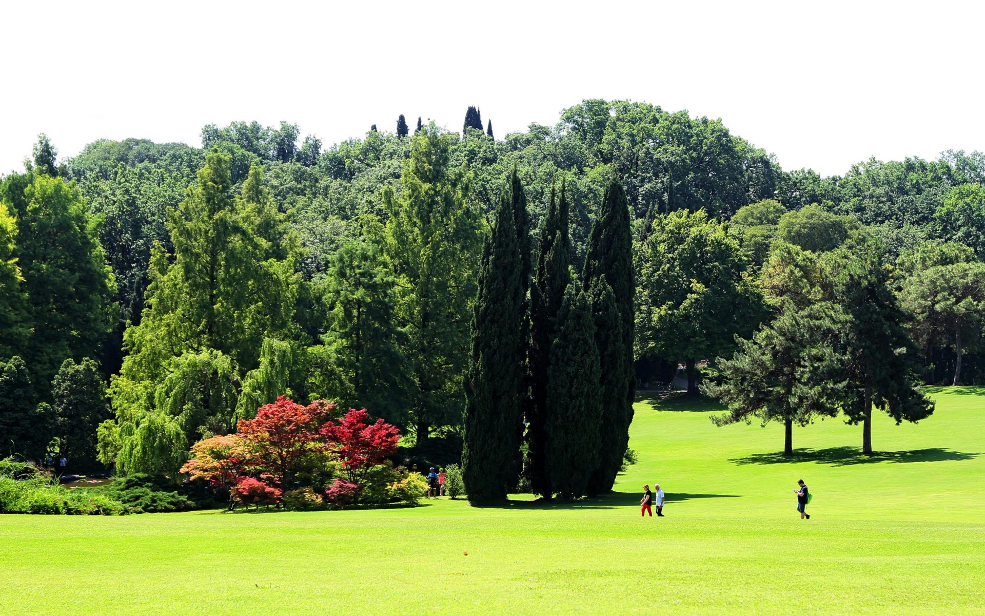 La giornata dei bambini parco giardino sigurtà
