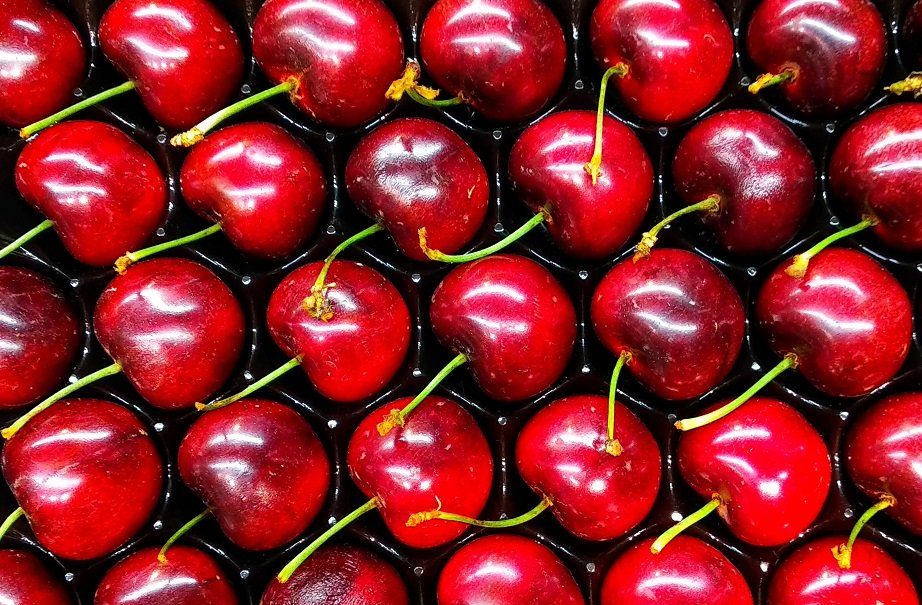 ciliegia
