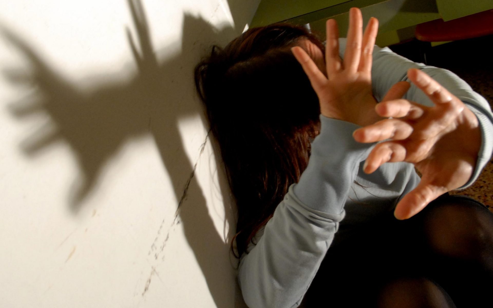 protocollo violenza genere