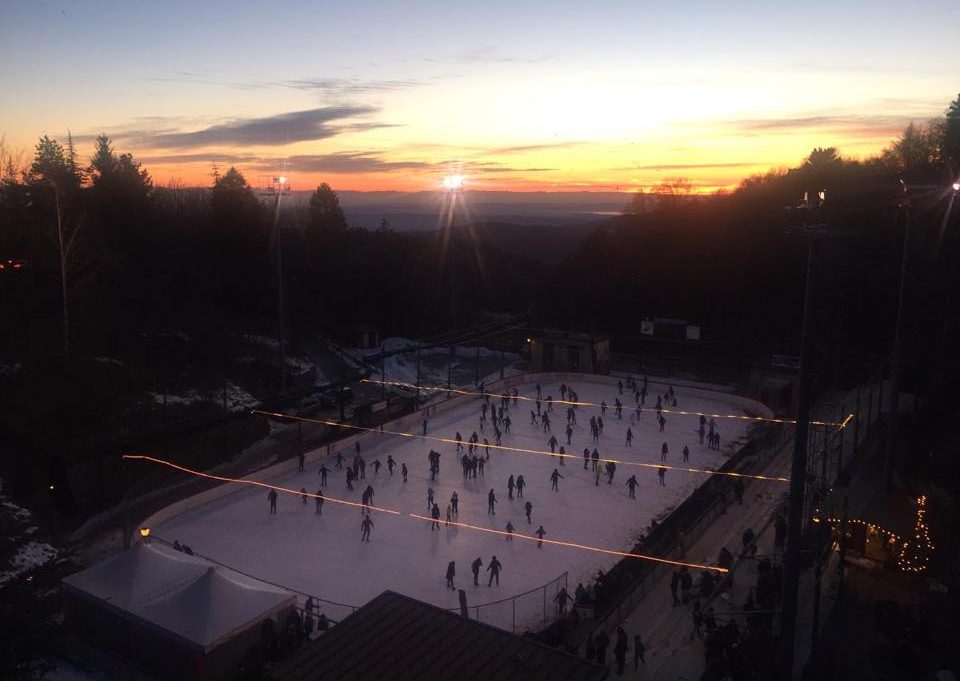 Palaghiaccio Bosco Chiesanuova