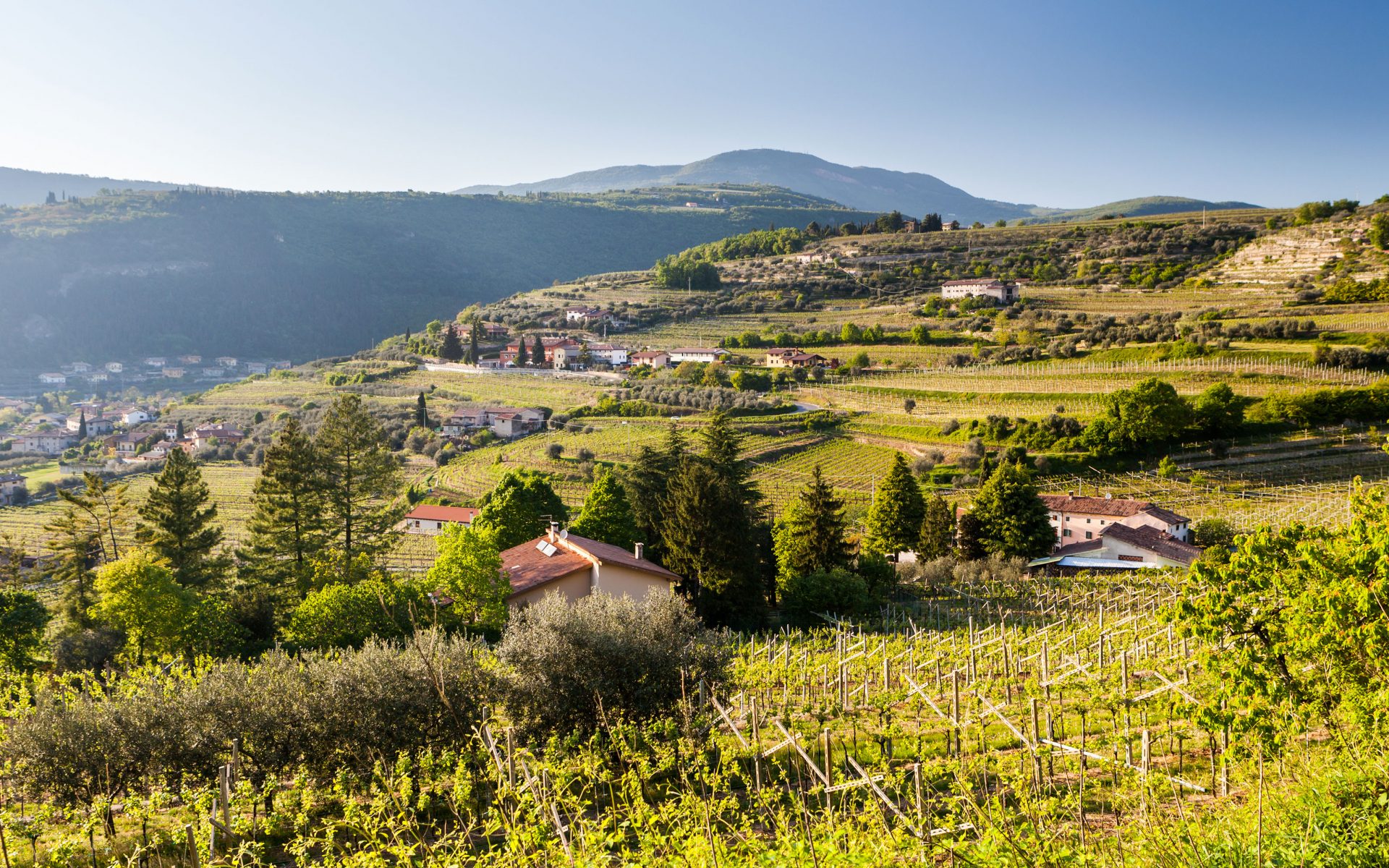 valpolicella enoturismo