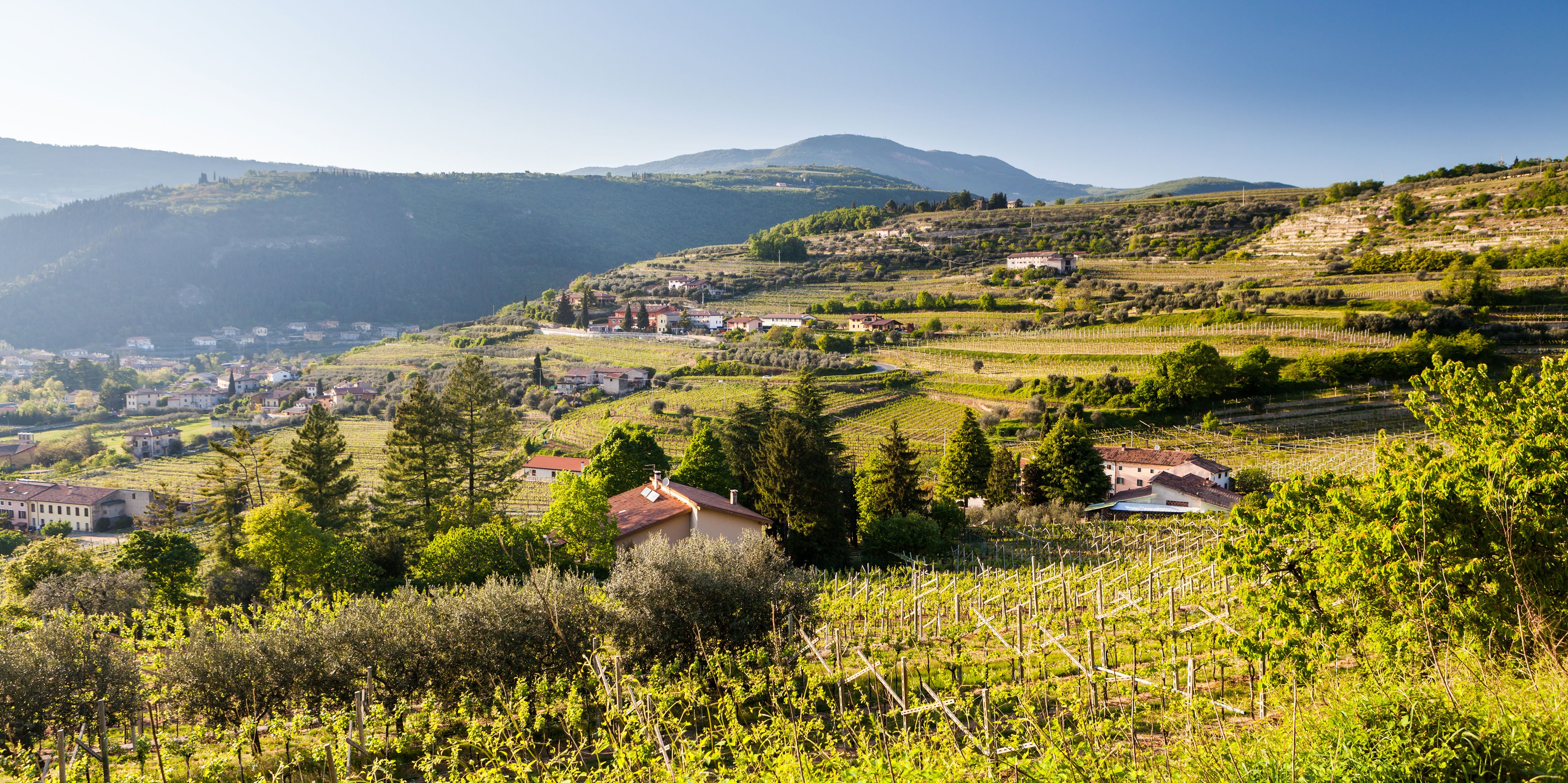 valpolicella enoturismo