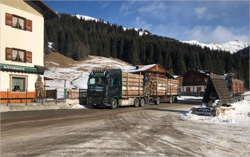 Boschi abbattuti in Veneto