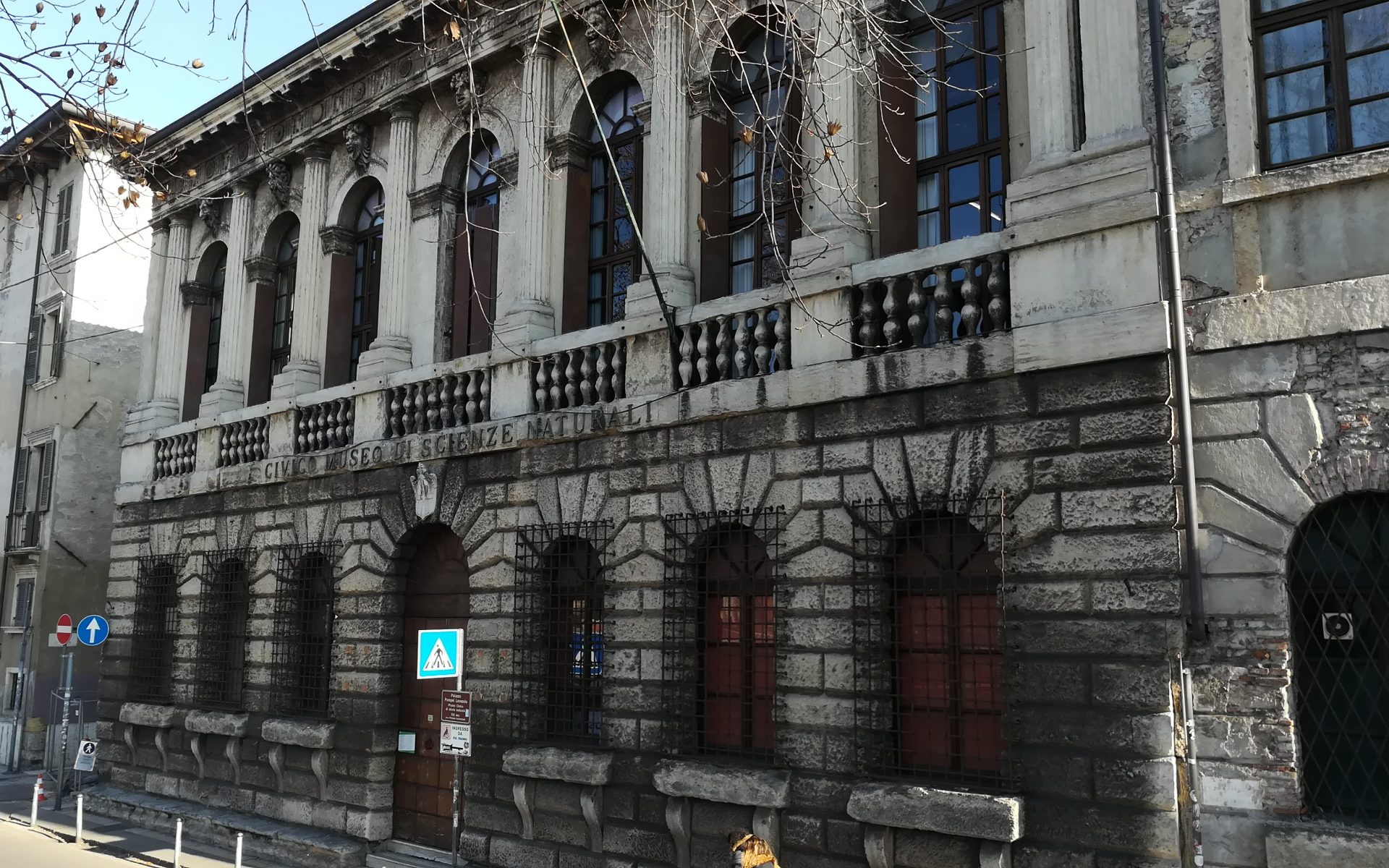 Museo di Storia Naturale di Verona a Palazzo Pompei.