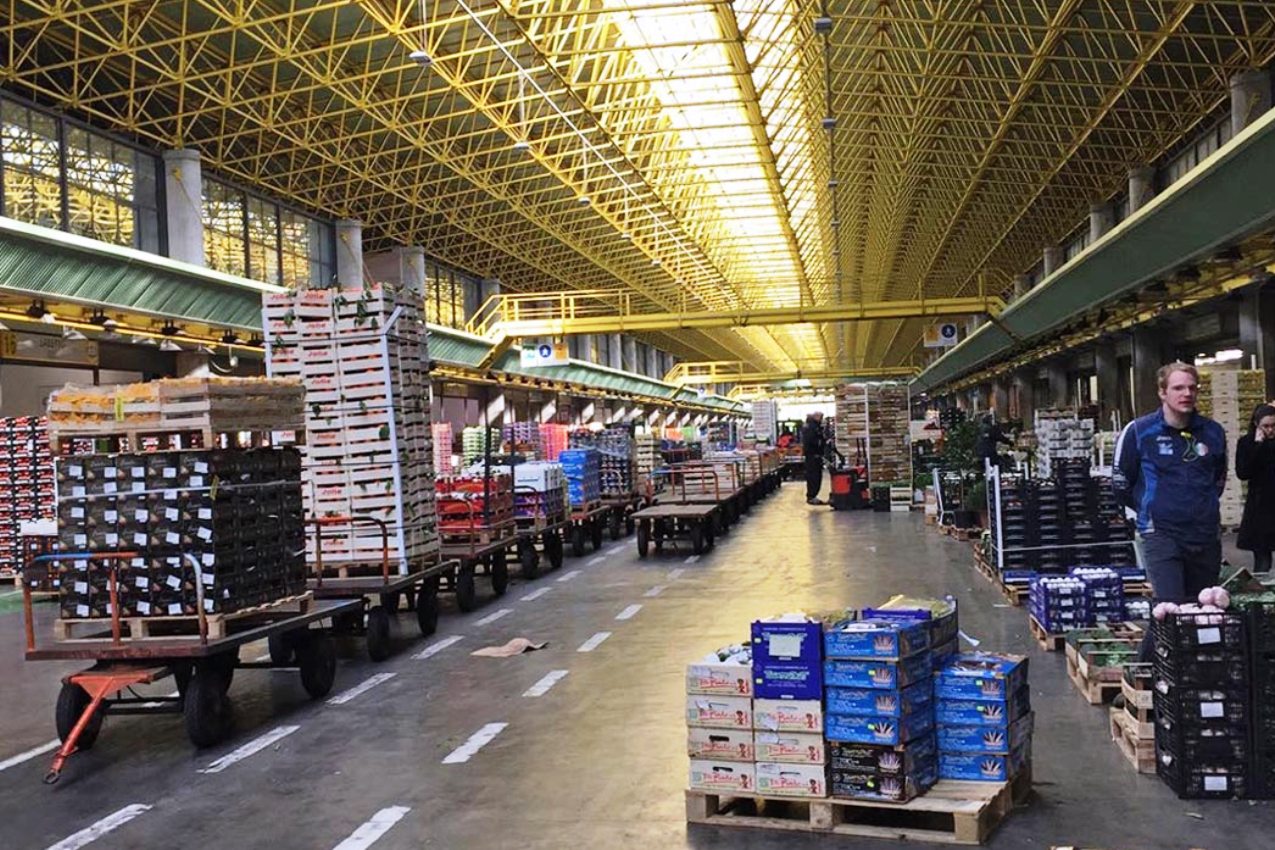 bilancio d'esercizio 2019 di veronamercato