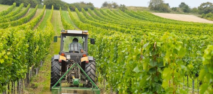 istituti agrari agricoltura sviluppo rurale