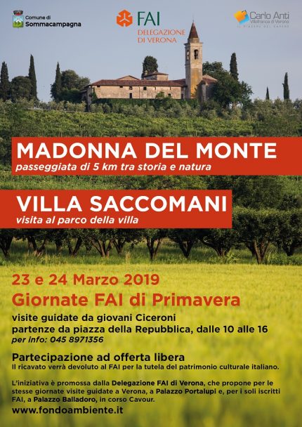 Fai Sommacampagna locandina