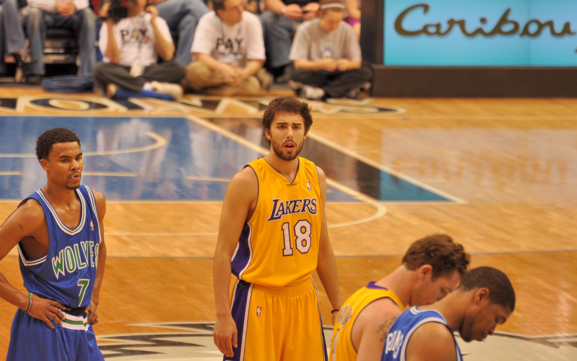 Sasha vujacic scaligera