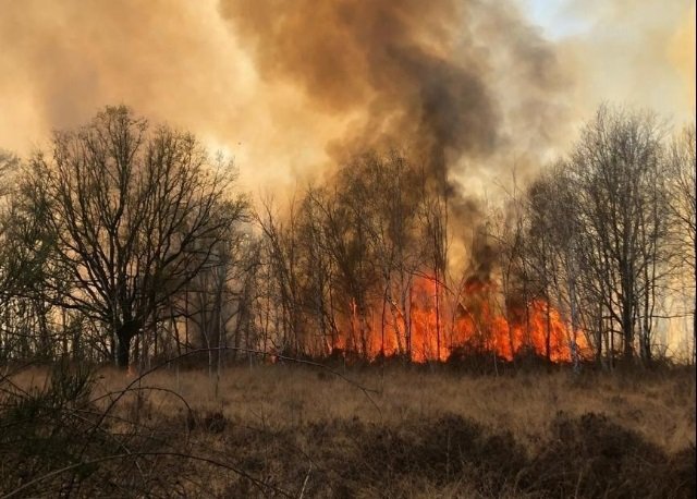brucia riserva naturale Piemonte