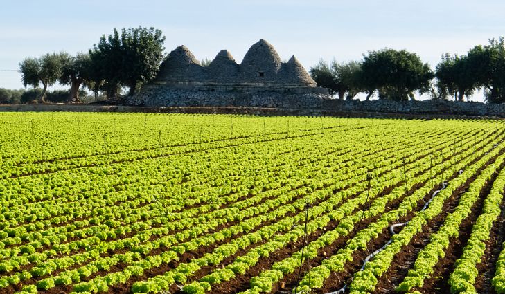 coldiretti coronavirus