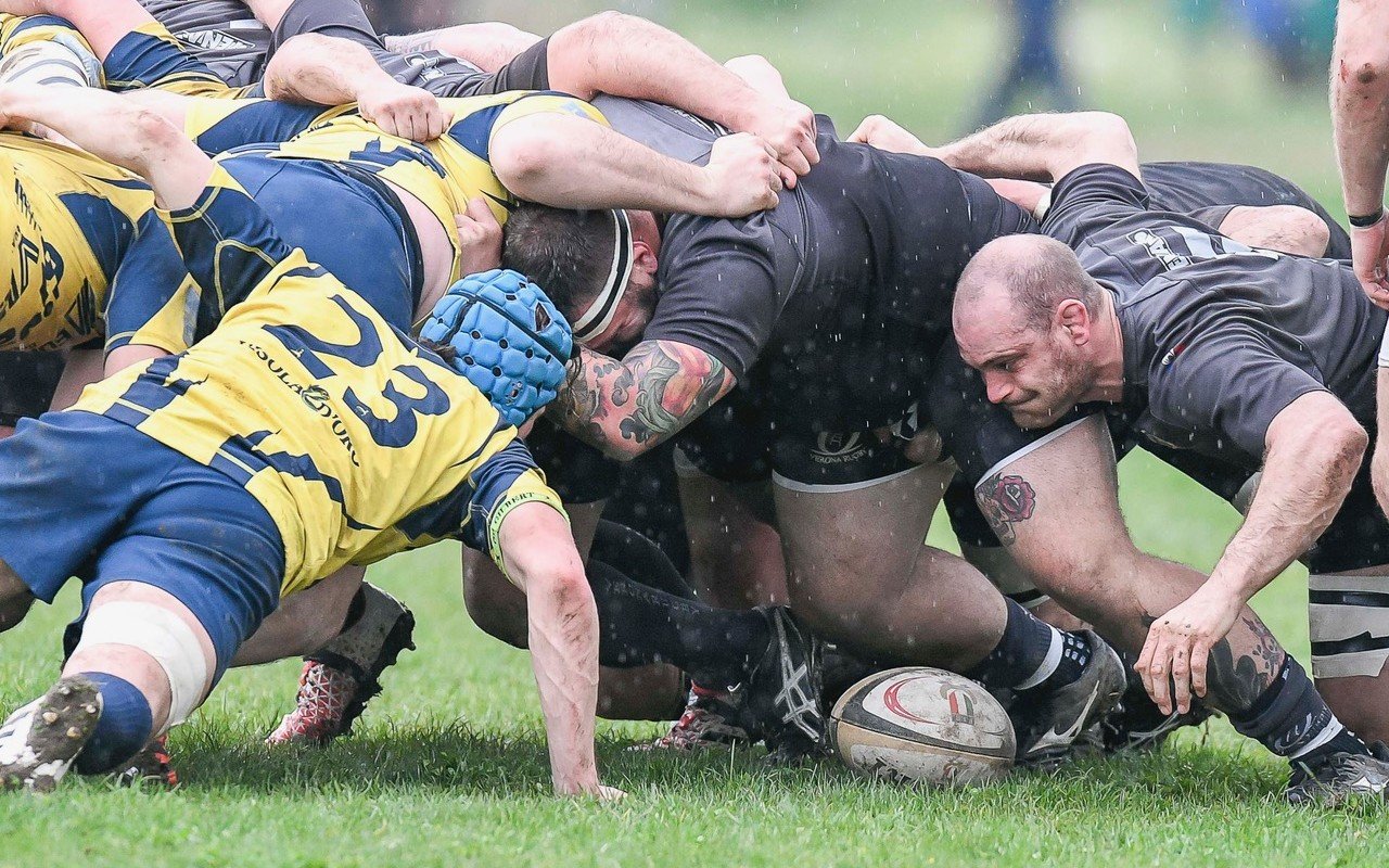 Verona Rugby