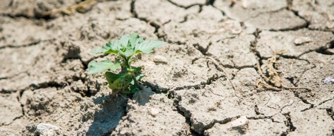 siccità coldiretti nord italia