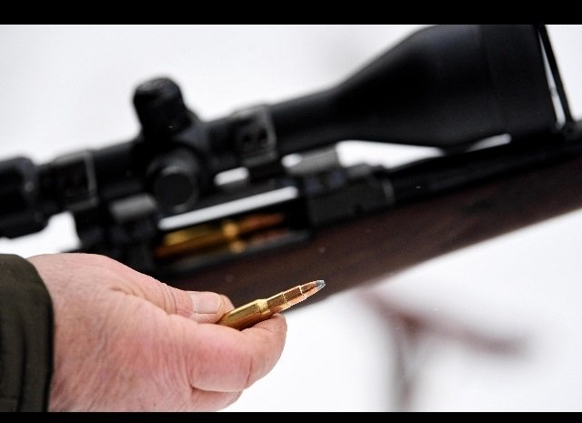 sparò a ladro venezia