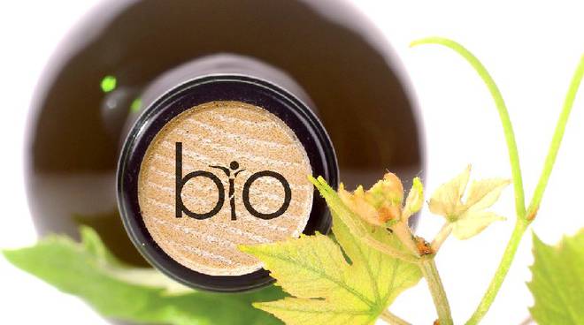 vino biologico prodotti bio
