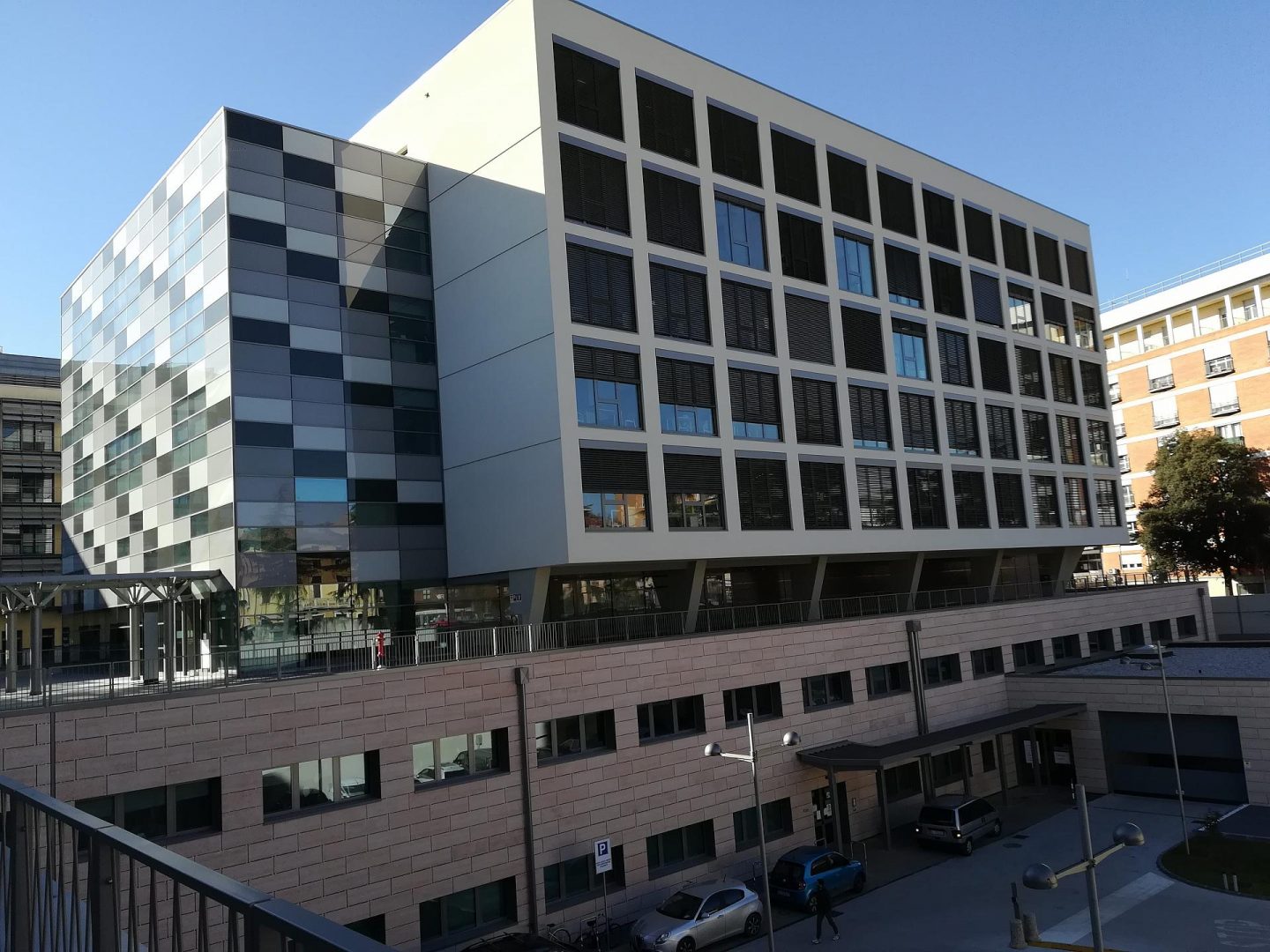 citrobacter coronavirus tamponi borgo trento veneto verona