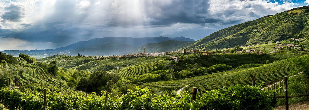 Colline Prosecco