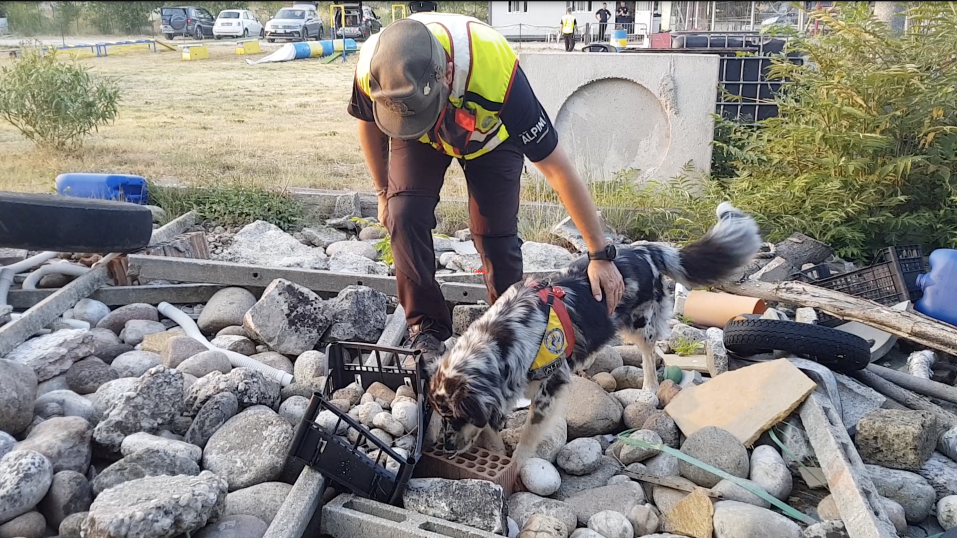 Enea e maverick ana verona