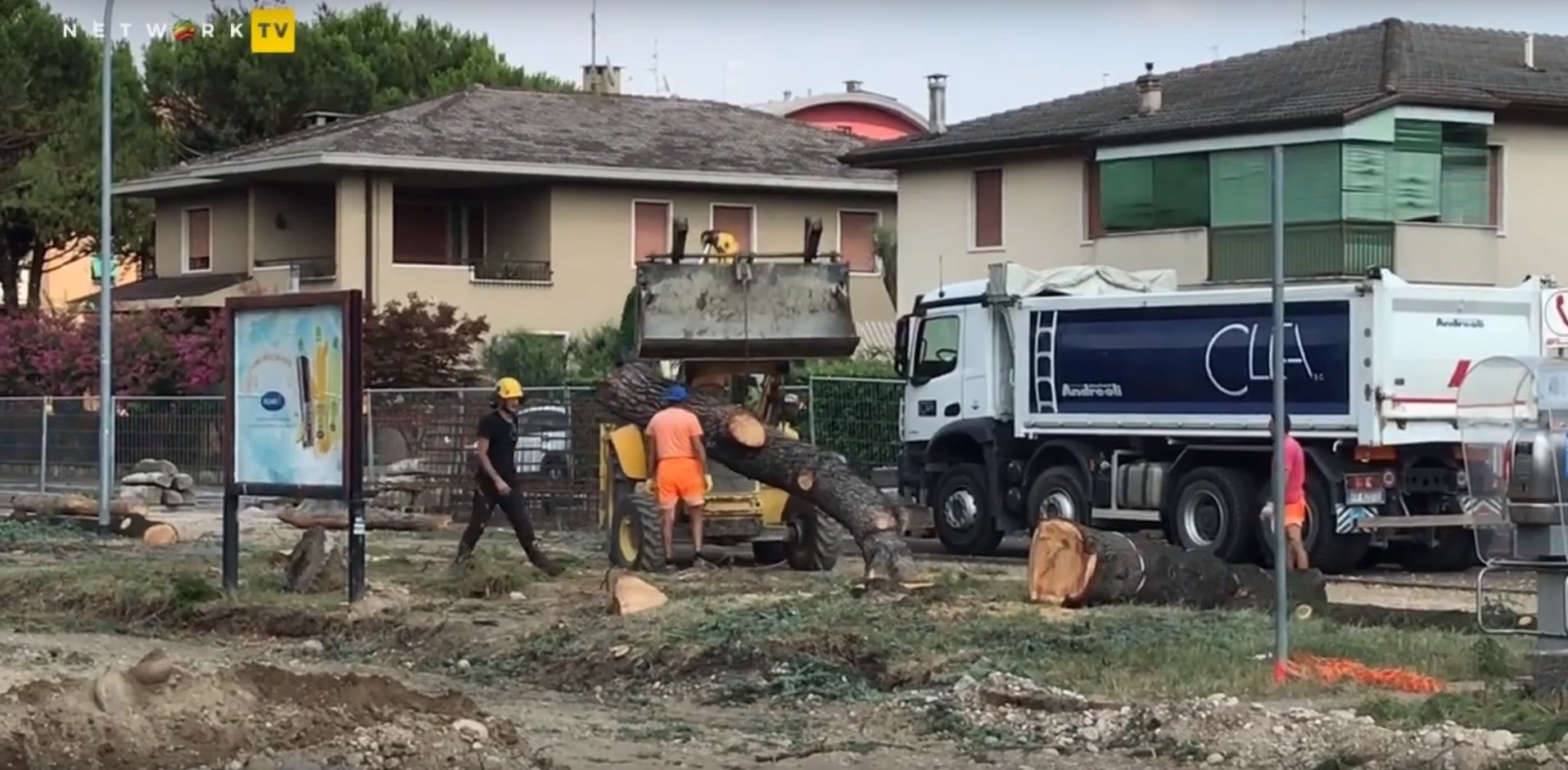abbattimento alberi stadio