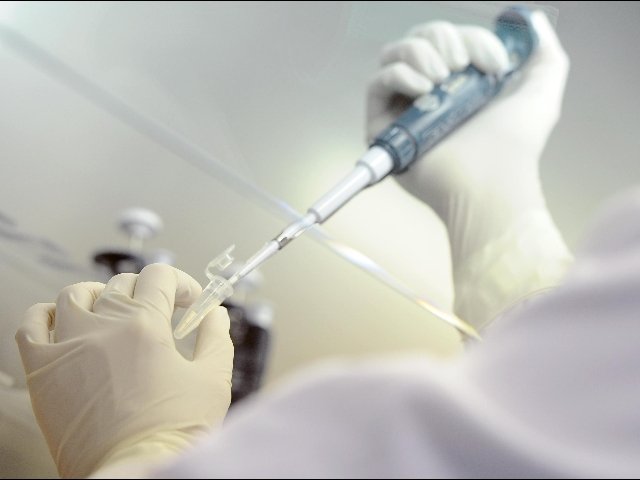 frode fiscale padova