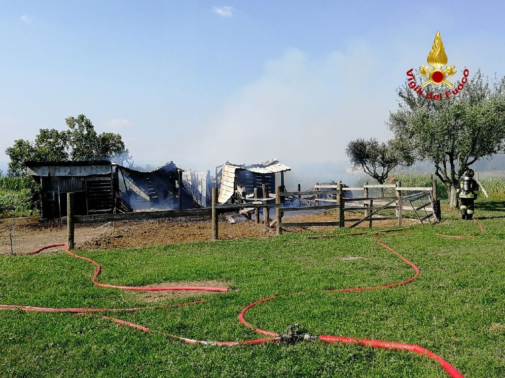 incendio maneggio ronco all'adige