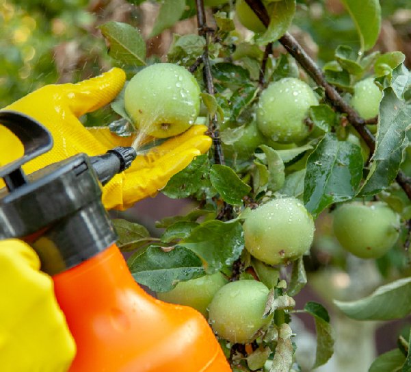 pesticidi pericolosi