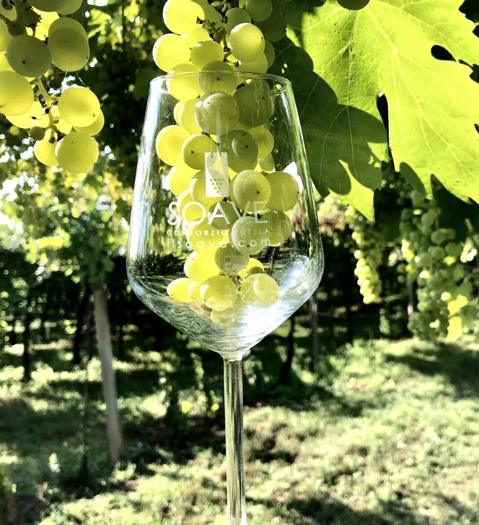 consorzio soave doc