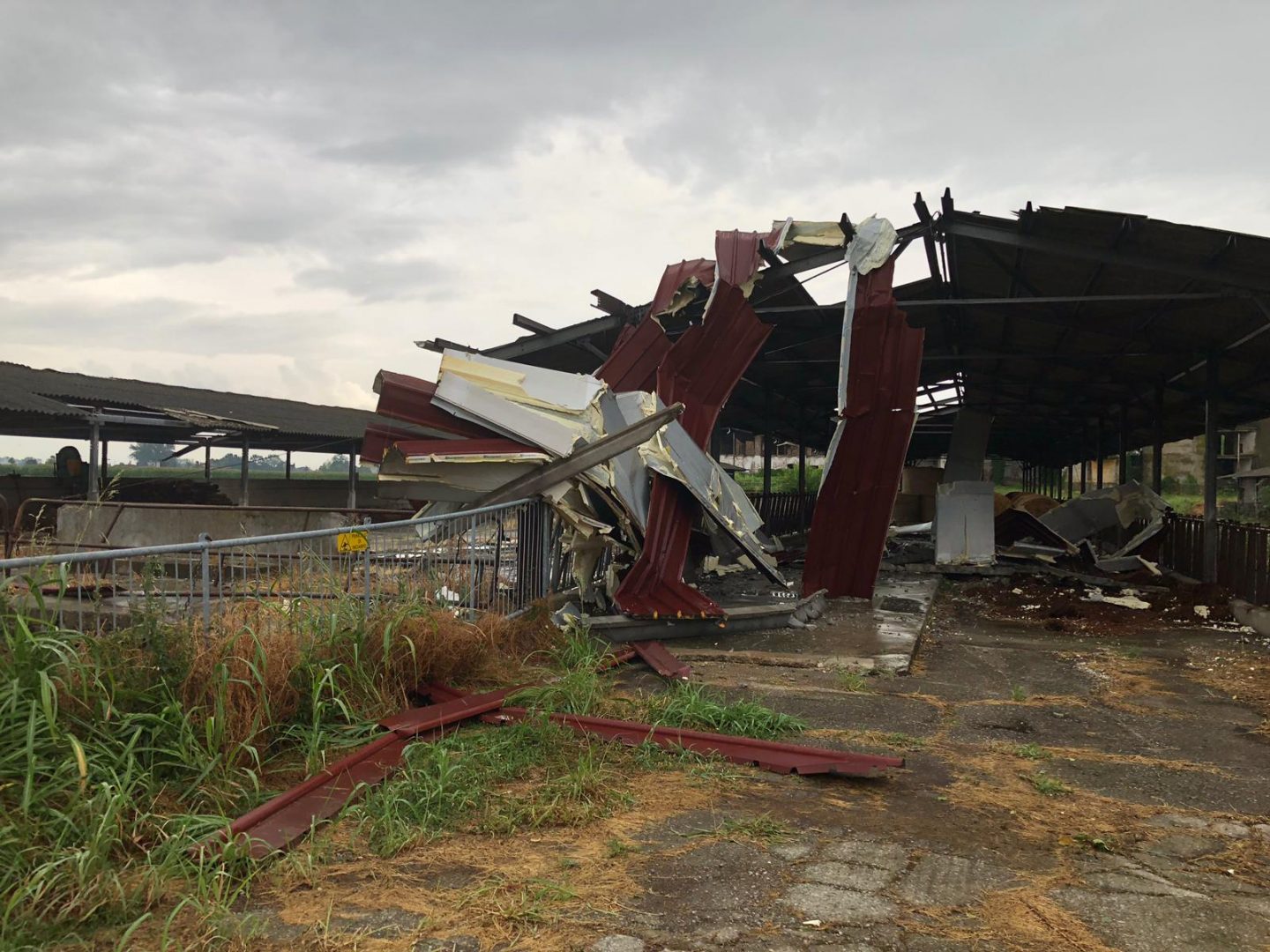 danni maltempo coldiretti