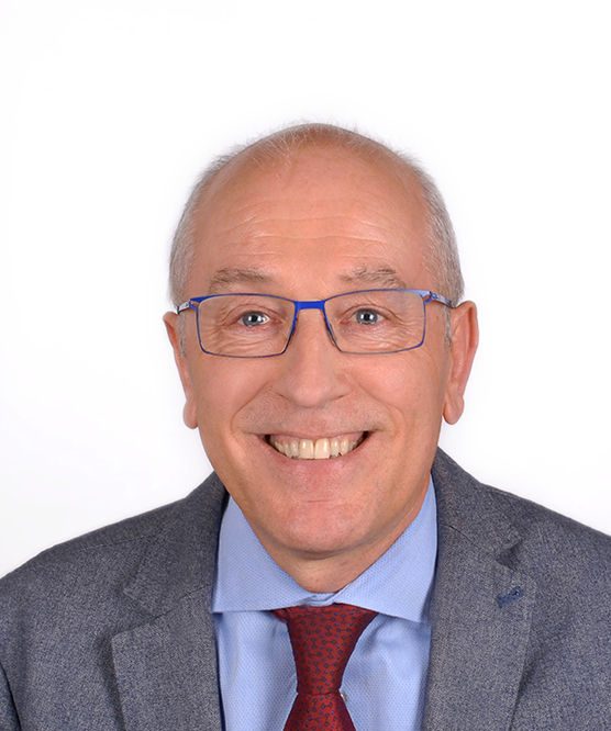 ennio vigne dolomiti bellunesi