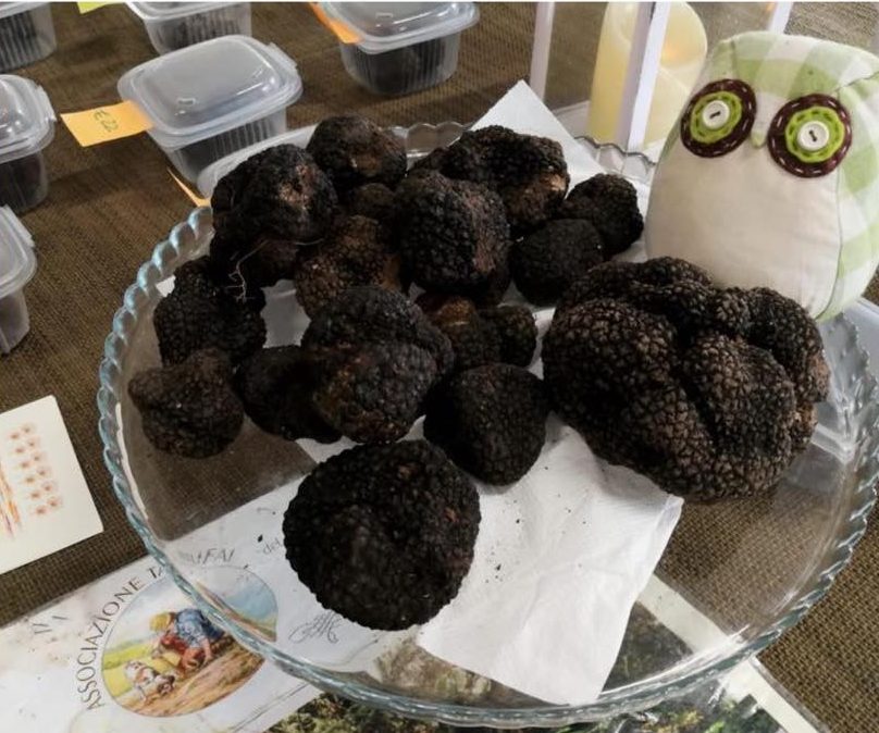 festa tartufo nero caprino