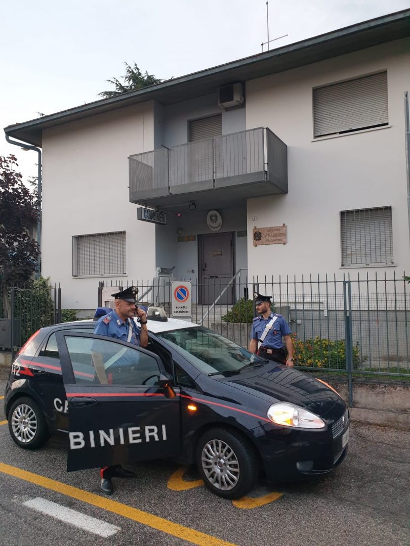 rissa con lesioni pescantina