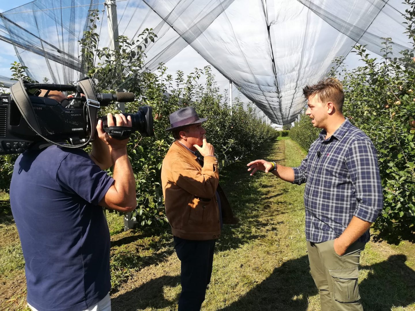 Vesentin coldiretti cimici