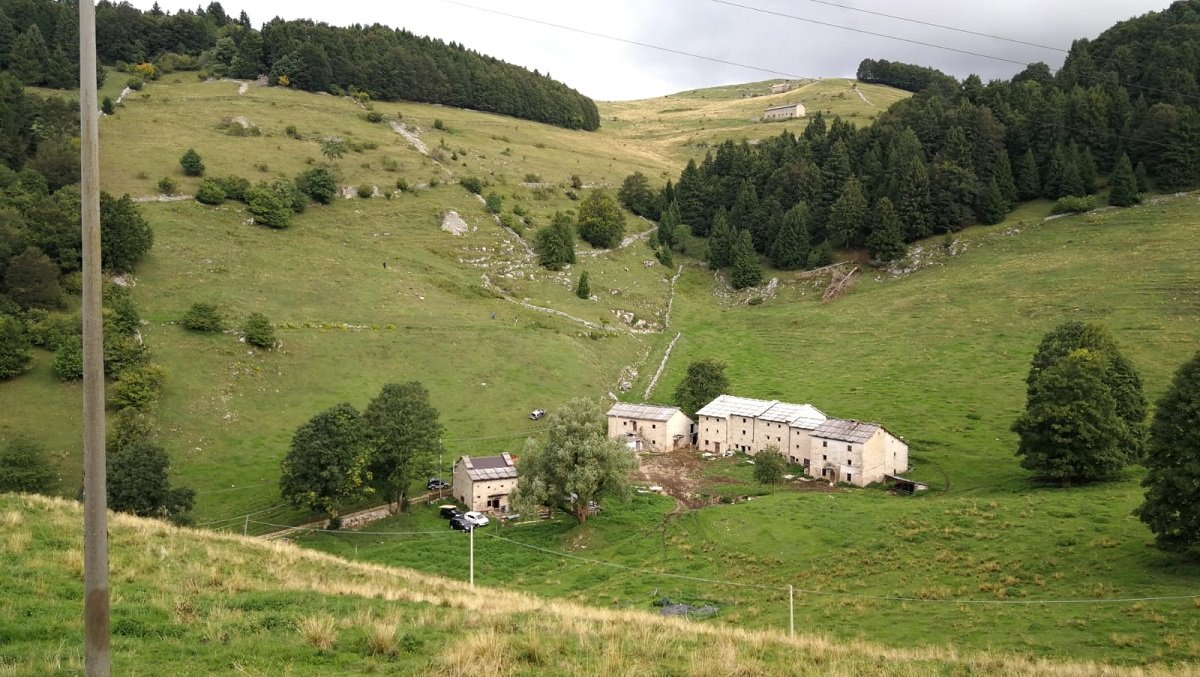 incidente bosco chiesanuova