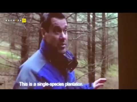 il tempo delle foreste film festival della lessinia