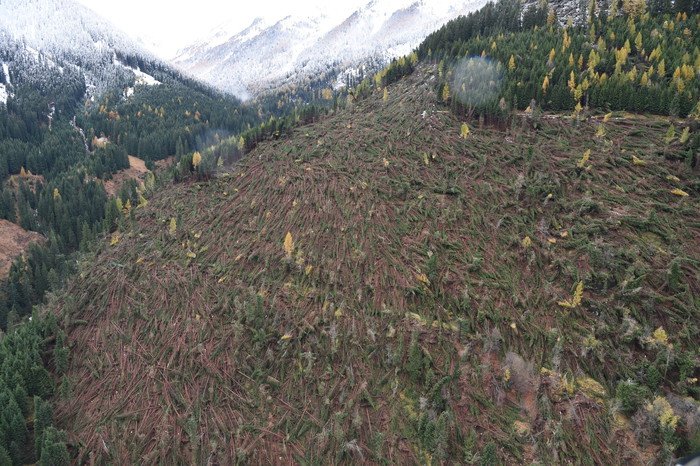 maltempo fondi europa italia vaia