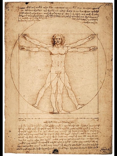 uomo vitruviano al louvre