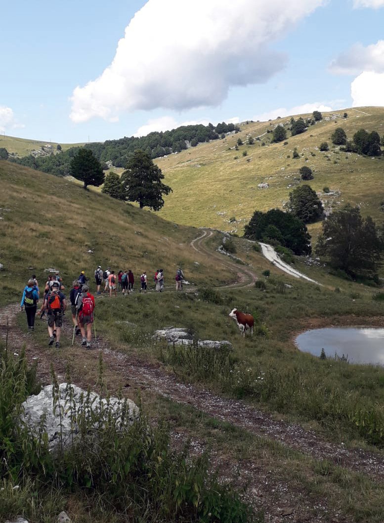 Escursione Camminparco tra le Saibe e le malghe Belfiore (Bosco Chiesanuova) - foto di A. Canteri