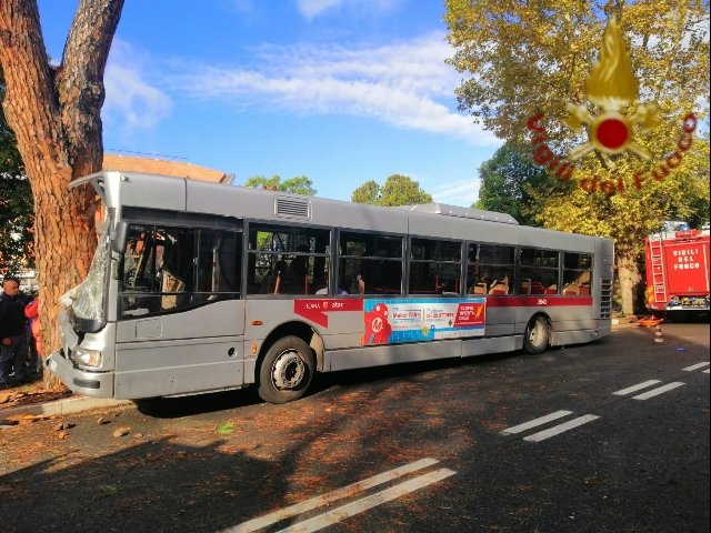 bus roma