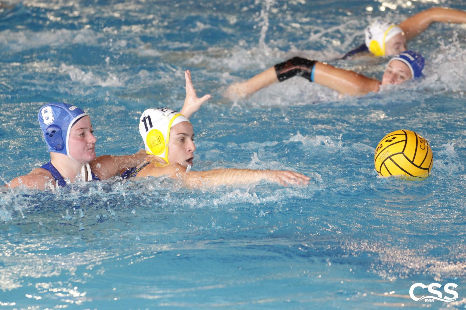 css verona contro milano