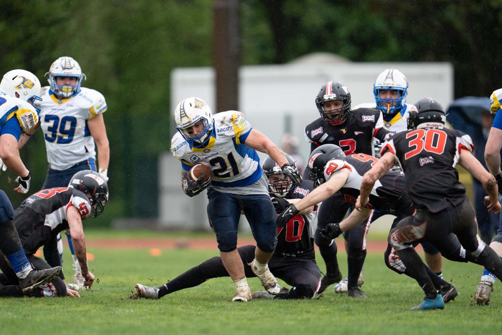 manuel savoia mastini