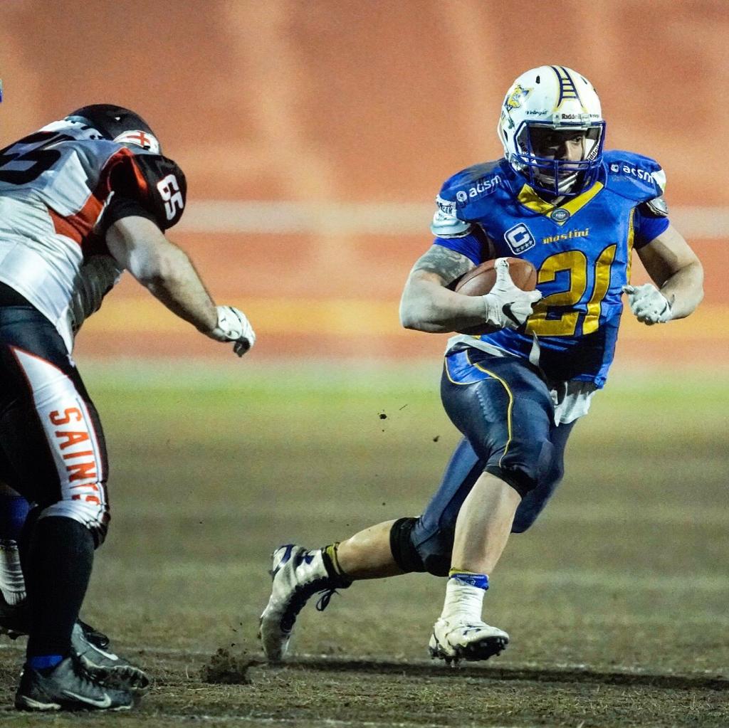 manuel savoia mastini